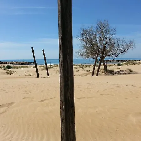Casa Rok
